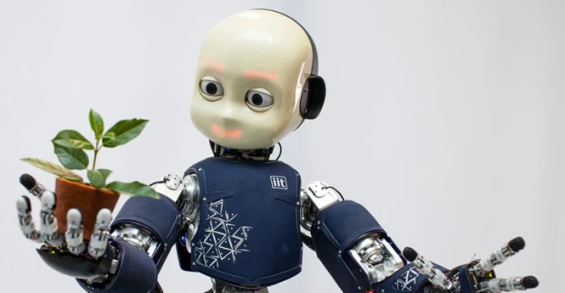 iCub Whole Body Controller preview